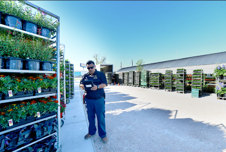 A Man Looking At An Ipad In Front Of A Shelf Of Plants A Man Looking At An Ipad In Front Of A Shelf Of Plants