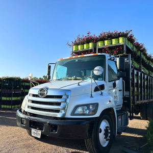Delivery services available across all our locations.